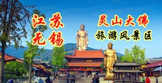 tte性爱小视频com江苏无锡灵山大佛旅游风景区